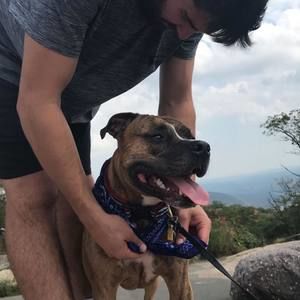 Meet your Posher, Thomas